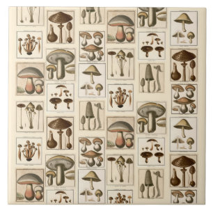 Carreau Trivet d'estampes botaniques Vintages