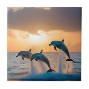 Carreau Trois Dauphins Tournant Au Coucher Du Soleil,