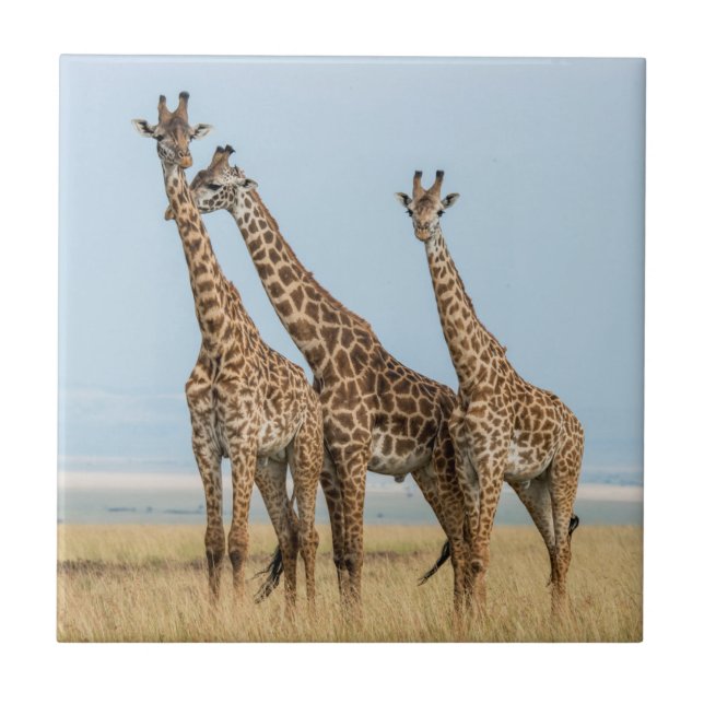 Carreau Trois girafes Poing (Devant)