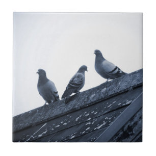 Carreau Trois pigeons sur un toit
