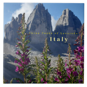 Carreau Trois sommets de Lavaredo Italie Fleur sauvage