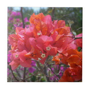 Carreau Tropical Pink Bougainvillea Island Floral