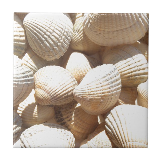 Carreau Tropical Sunny Sea Shells (Devant)
