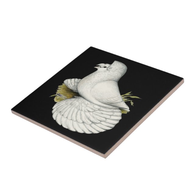 Carreau Trumpeter Pigeon White (Côté)