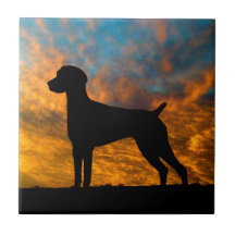 Tuile allemande de coucher du soleil de silhouette