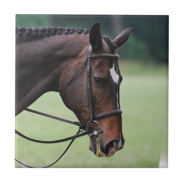 Carreau Tuile Arabe douce de cheval (Devant)