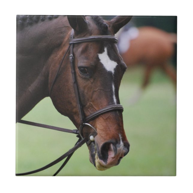 Carreau Tuile Arabe mignonne de cheval (Devant)