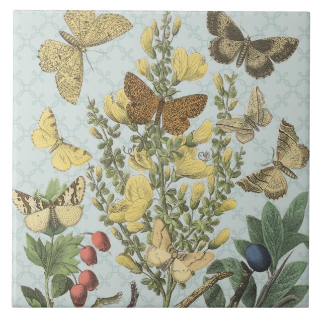 Carreau Tuile botanique vintage de papillons… (Devant)