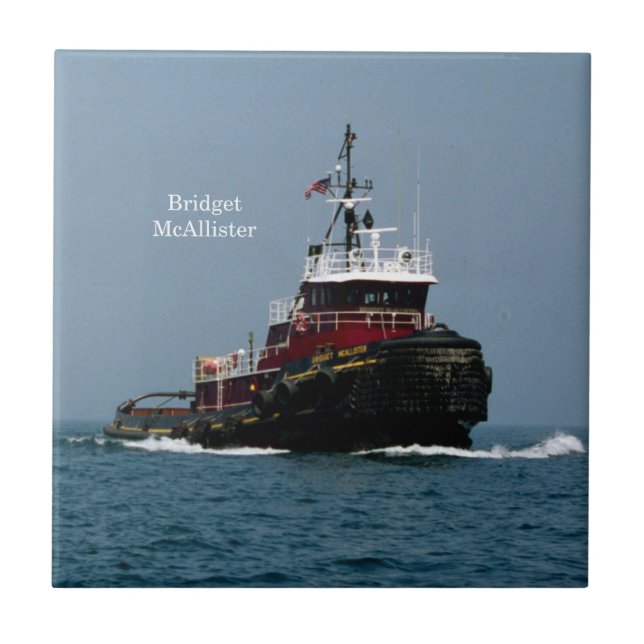 Carreau Tuile Bridget McAllister (Devant)