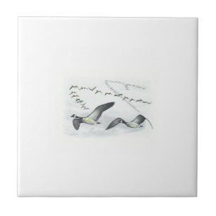 Carreau Tuile canadienne d'oies