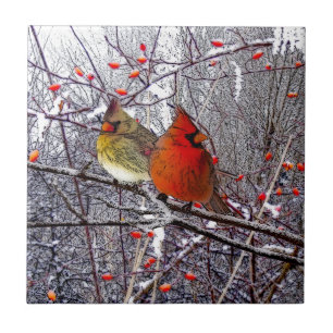 Carreau Tuile cardinale de forêt