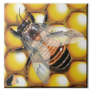 Carreau Tuile d'abeille de miel