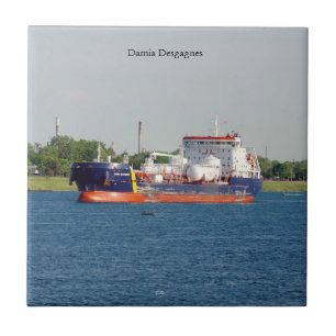 Carreau Tuile Damia Desgagnes