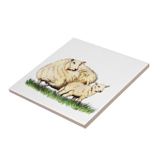 Carreau tuile d'animal de deux moutons