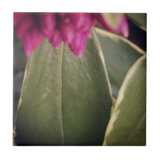 Carreau Tuile Daphne de Flora