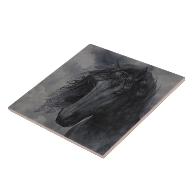 Carreau Tuile de beauté noire (Côté)