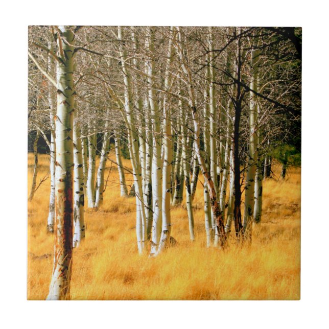 Carreau tuile de bois de tremble (Devant)