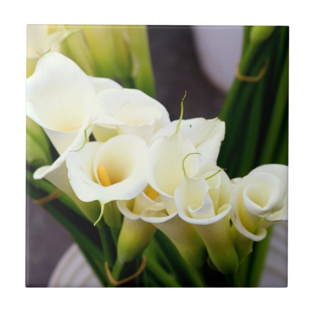 Carreau tuile de bouquet de zantedeschia (Devant)