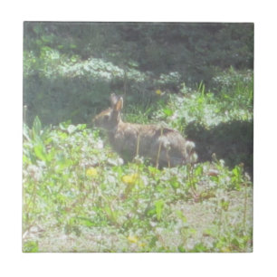 Carreau Tuile de Bunny sauvage