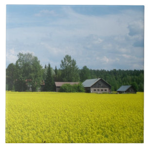 Carreau Tuile de campagne finlandaise