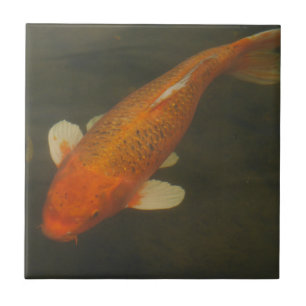 Carreau Tuile de carpe de Koi