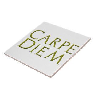 Carreau Tuile de Carpe Diem