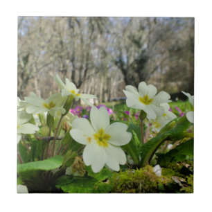 Carreau Tuile de céramique Primrose