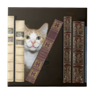 Carreau Tuile de chats et de livres