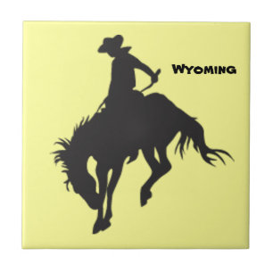 Carreau Tuile de Cheval Wyoming Bucse
