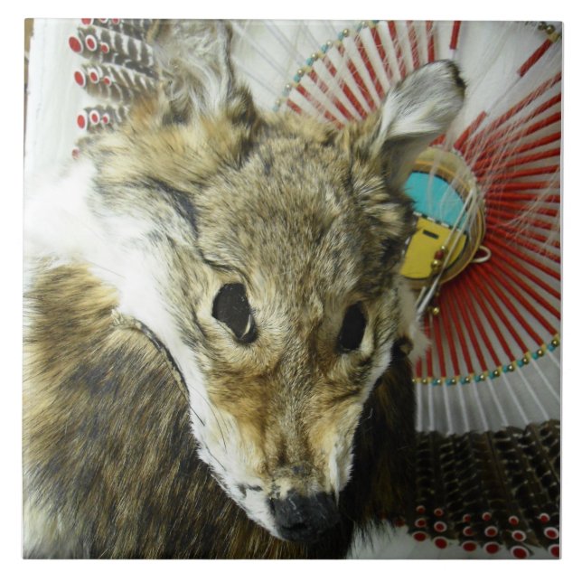 Carreau Tuile de coiffe de coyote (Devant)