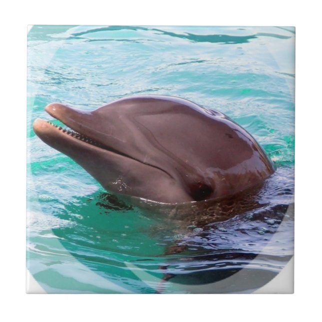 Carreau Tuile de conception de dauphin (Devant)