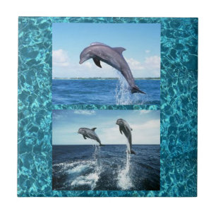 Carreau tuile de dauphins