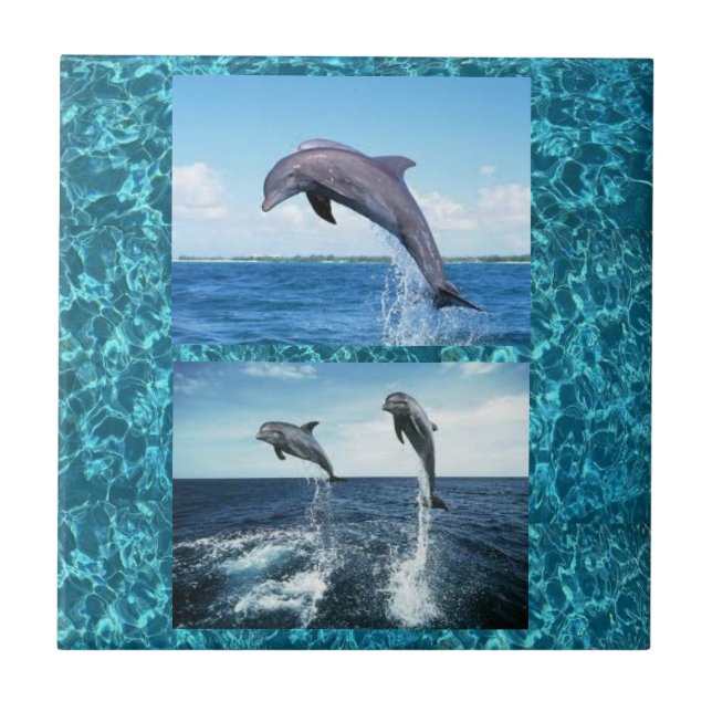 Carreau tuile de dauphins (Devant)