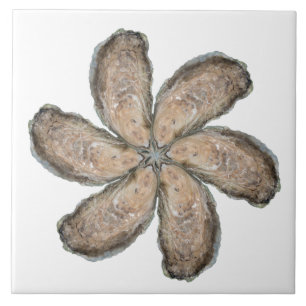 Carreau Tuile de fleur d'huître - blanc de la conception 