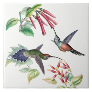 Carreau Tuile de fleurs d'animaux de faune d'oiseaux de