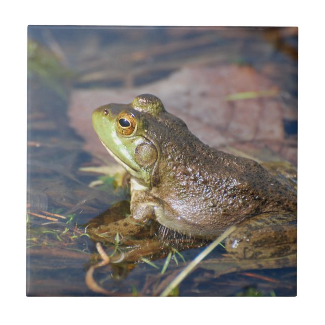Carreau Tuile de grenouille (Devant)