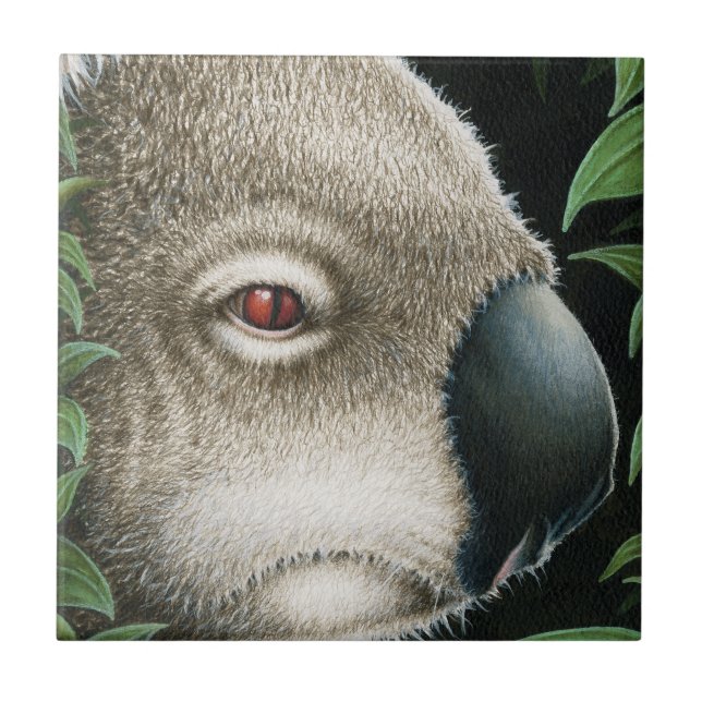 Carreau Tuile de koala (Devant)