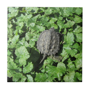Carreau Tuile de la tortue des bébés