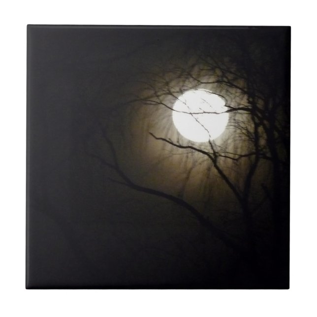Carreau Tuile de lever de la lune (Devant)