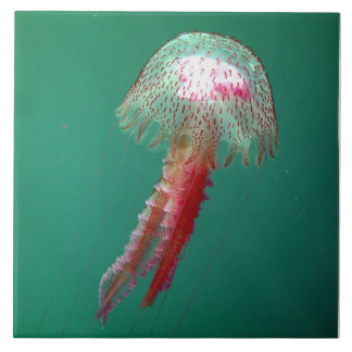 Carreau Tuile de méduses de méduse