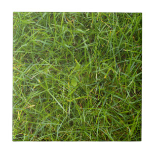 Carreau Tuile de motif d'herbe verte