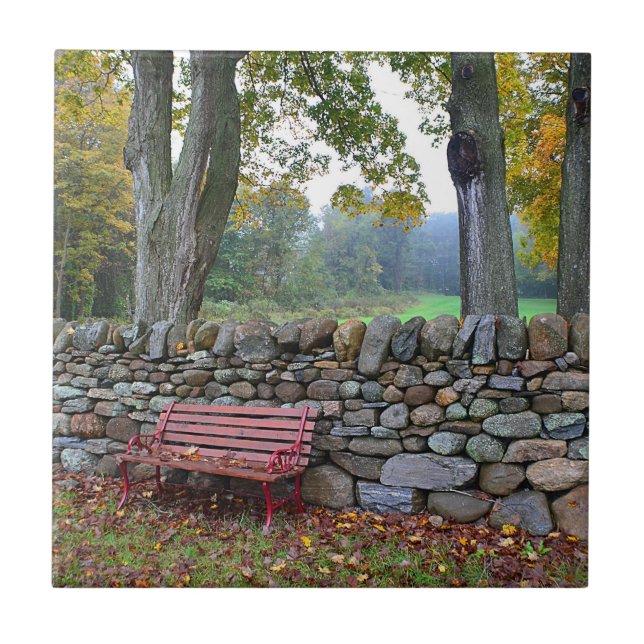 Carreau Tuile de mur en pierre (Devant)