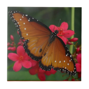 Carreau Tuile de papillon orange