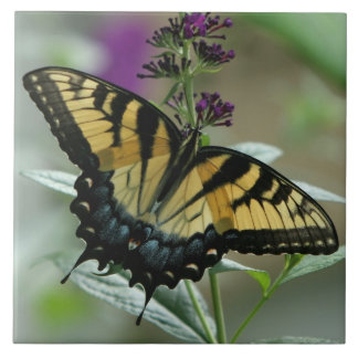 Carreau Tuile de papillon Swallower
