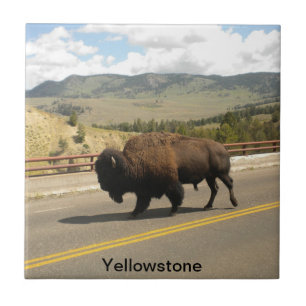 Carreau Tuile de parc national de Yellowstone (2)