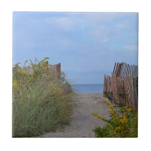 Carreau Tuile de plage Hammonasset