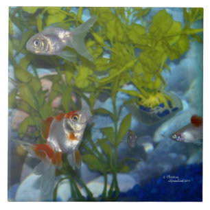 Carreau Tuile de platys de poisson rouge de Ryukin