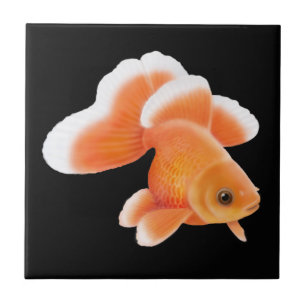 Carreau Tuile de poisson rouge de rose des vents de