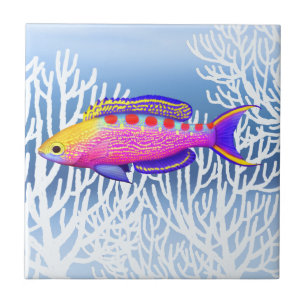 Carreau Tuile de poissons de récif d'Anthias repérée pa