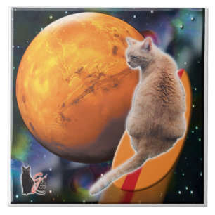 Carreau Tuile de poivre Star Surfer-Cat